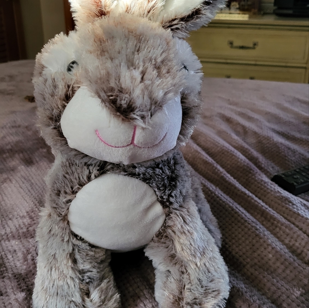 Toy
